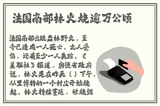 吕杨张津瑜酒店落地窗mba
