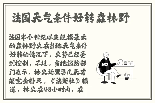 韩国R级床戏合集在线观看